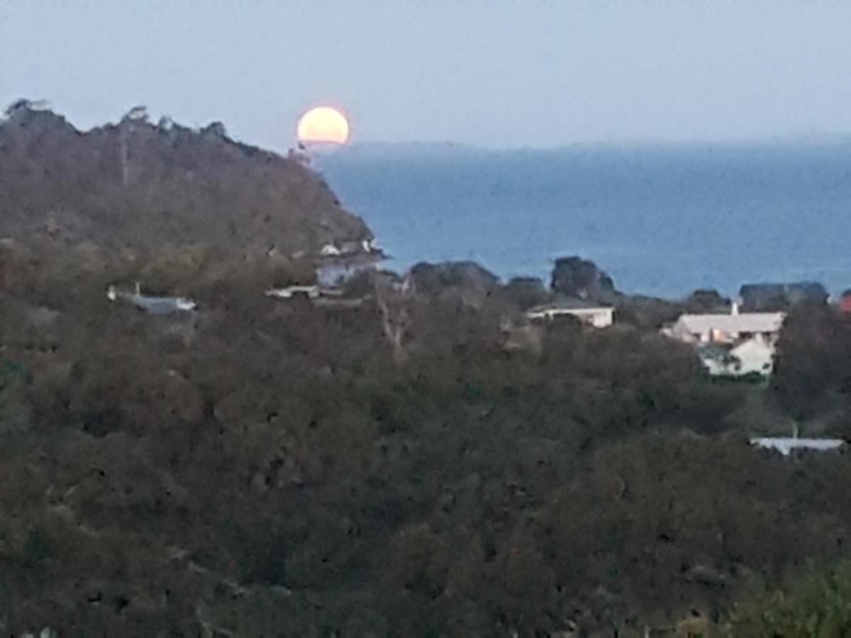 Ponga B&B Half-moon Bay Eksteriør bilde
